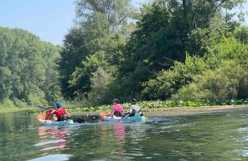Karuc Villa | Skadar lake house Bobija