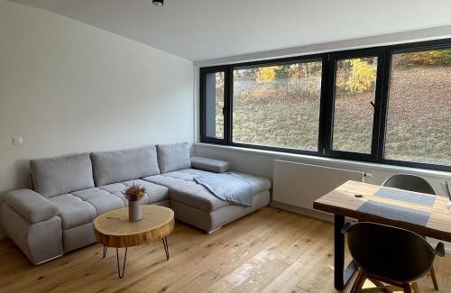 Janske Lazne Apartment | Ski&Bike horský apartmán 502