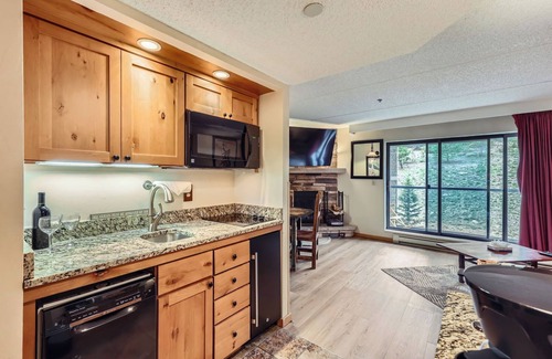 Peak 9 Condo | Ski In, Ski Out, Breckenridge Studio, Dog Friendly