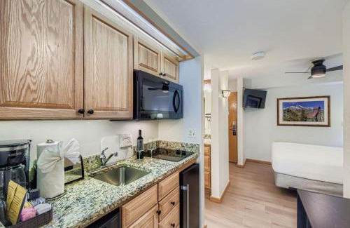 Peak 9 Apartment | Ski In Ski Out Dog Friendly Studio Building 4