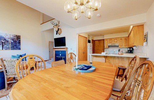 Londonderry Condo | Ski-in/ski-out, dog-friendly condo with 2 decks & fireplace - steps to lifts