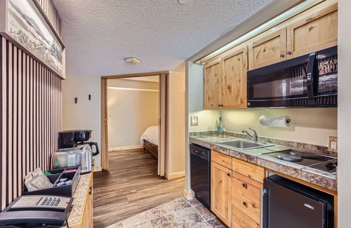 Peak 9 Apartment | Ski-In, Ski-Out From Studio, Ground Floor, Dog Friendly