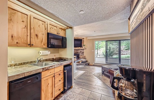 Peak 9 Apartment | Ski-In, Ski-Out From Studio, Ground Floor, Dog Friendly