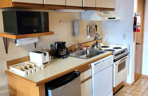 Lutsen Condo | SKI-OUT & IN! Hike, bike, fish, golf, beautiful Lake Superior N Shore/Sleeps 2+