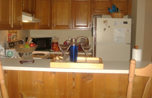 Lincoln Condo | Ski resort at Loon Mountain along the pemi river