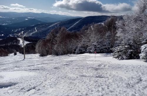 Warren House | Ski to your back door! Shared condo with ski professional and cat.