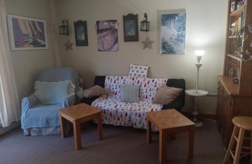 Warren House | Ski to your back door! Shared condo with ski professional and cat.