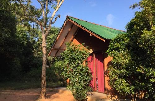 Habarana Hotel | Sky Forest