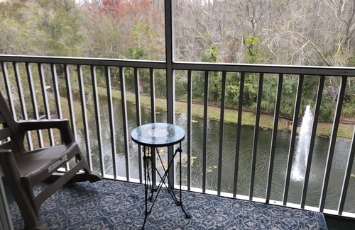 Lutz Condo | Sky View Mirrors Nature Fountain