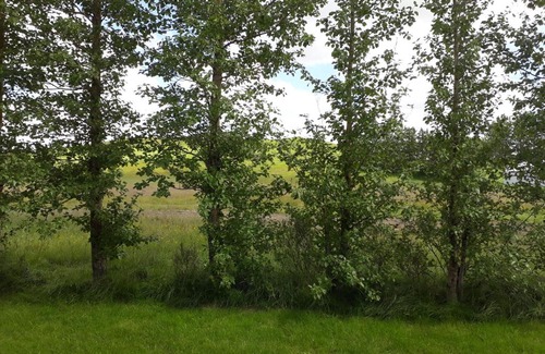 Fludir Bed & Breakfast | Skyggnir Bed and Breakfast