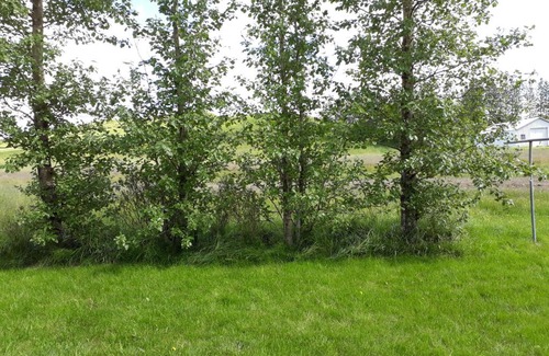 Fludir Bed & Breakfast | Skyggnir Bed and Breakfast