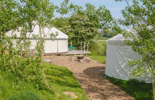 Bridport House | Skylark Yurt - Ukc6946