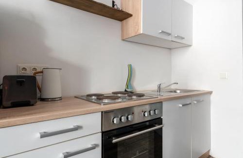 Weißgerber Apartment | Sleek Studio by City Center by HM