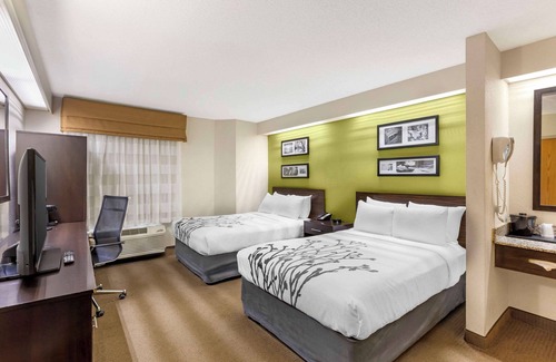 Greenville - Spartanburg Hotel | Sleep Inn at Greenville Convention Cente