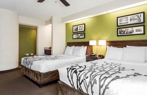 West Ashley Hotel | Sleep Inn Charleston - West Ashley