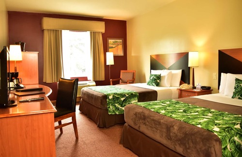 San Jose Hotel | Sleep Inn Hotel Paseo Las Damas