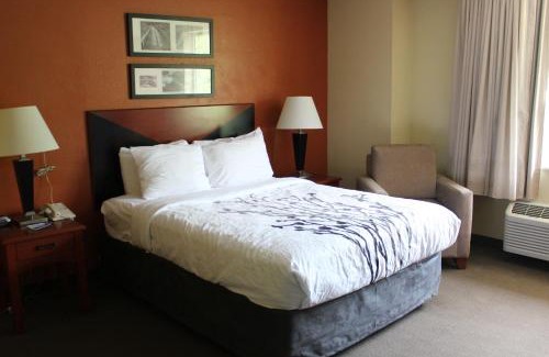 Charleston Hotel | Sleep Inn Mt Pleasant - Charleston