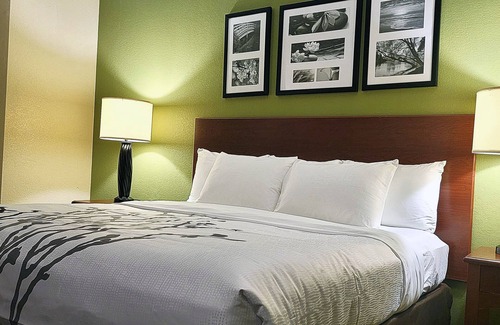 Columbia Hotel | Sleep Inn Near Ft Jackson