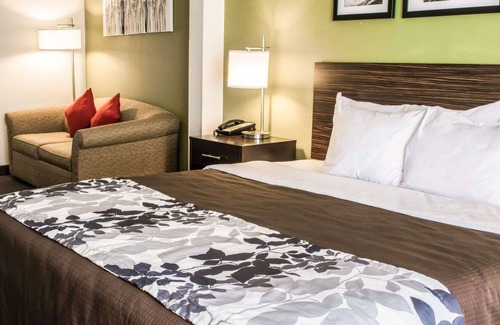 Lexington Hotel | Sleep Inn & Suites Virginia Horse Center