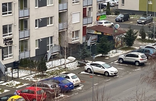 Brasov Apartment | Sleep4-freep-mountainview-balcony-petfriendly