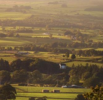 Buckna Cabin | Slemish Hideaway - Funky Pheasant