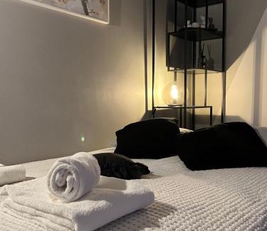 Old Town Apartment | Smalininkai apartment