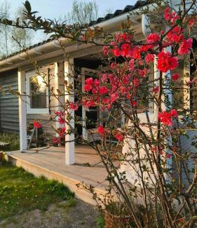 Kaldred House | Small Cottage Near Vesterlyng Beach