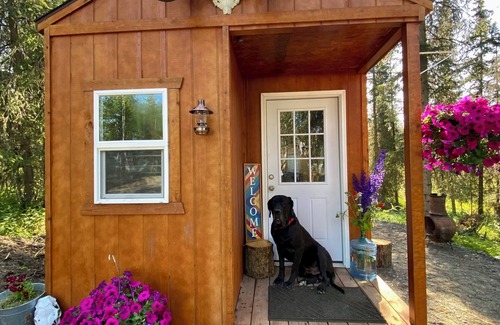 Kasilof Cabin | Small Dry Cabin Between Kenai and Kasilof Rivers.
