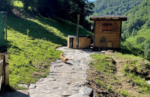 Osse-en-Aspe House | Small Gîte-House on 5 ha property, swimming pool, sauna, gym, horses, donkey