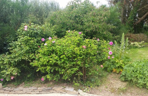 Landeda House | Small house in l'ABER WRAC'H, charming countryside and sea.