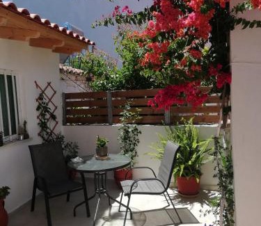 Halepa Apartment | Small Studio with Yard