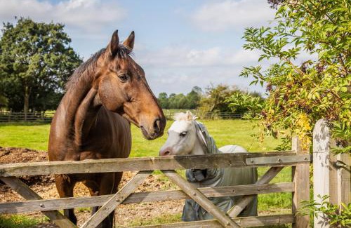 Broadway Bed & Breakfast | SmallBrook Cottage