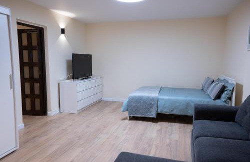 Aviatiei Apartment | Smaranda Apart 3