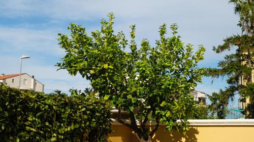 Tortoreto Lido Apartment | Smart and Sea