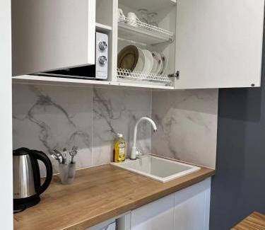 Kosuv Stary Apartment | Smart Modern loft apartments