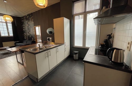 Lower Town Apartment | Smartflats City - Brusselian