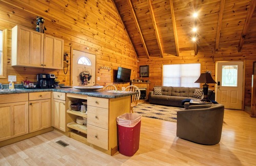 Rocky Grove Cabin | Smoky Mountain Cabin w/Hot Tub and Fire pit