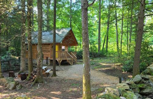 Cosby House | Smoky Mountain Retreat - 2 Cabins