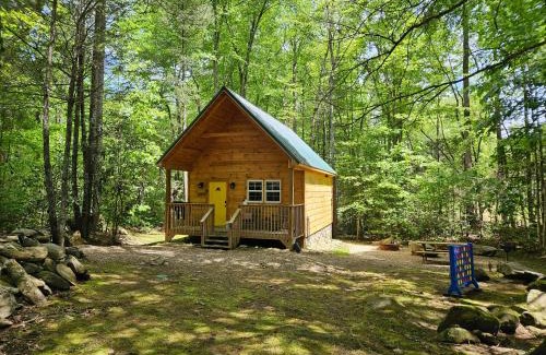 Cosby House | Smoky Mountain Retreat - 2 Cabins