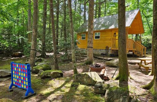 Cosby House | Smoky Mountain Retreat - 2 Cabins