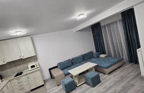 Busteni Apartment | Snow Apartament