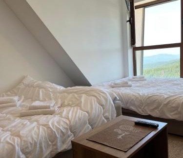 Zrenjanin Apartment | Snow Hill Kopaonik