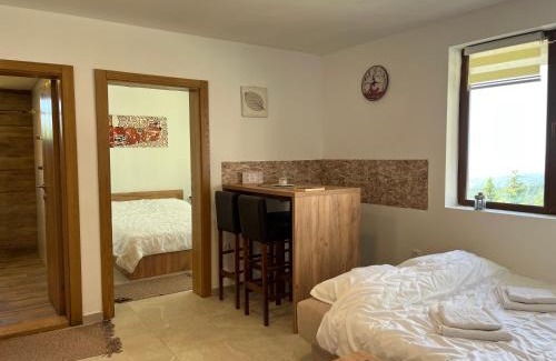 Zrenjanin Apartment | Snow Hill Kopaonik