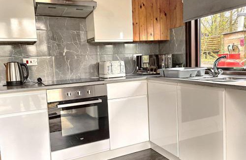 Llanybri Ski Chalet | Snowdrop 10-Hot Tub-Woodlandlodges-St Clears-Pembrokeshire