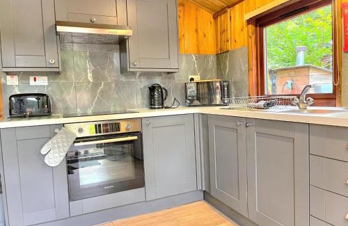 Llanybri Ski Chalet | Snowdrop 13-Hot Tub-Woodlandlodges-Carmarthenshire