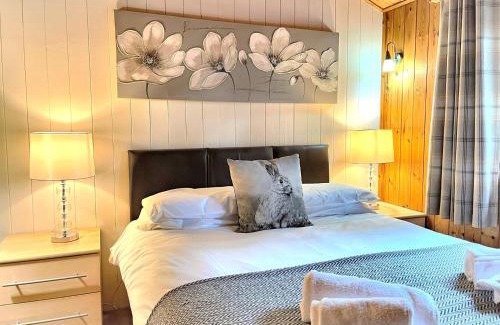 Llanybri Ski Chalet | Snowdrop 13-Hot Tub-Woodlandlodges-Carmarthenshire