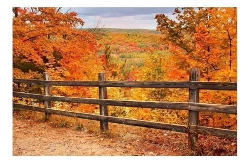 Boyne Falls House | Snowmobiling Paradise