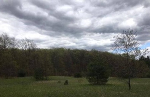 Boyne Falls House | Snowmobiling Paradise
