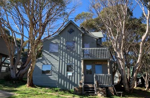 Dinner Plain Apartment | snowy river