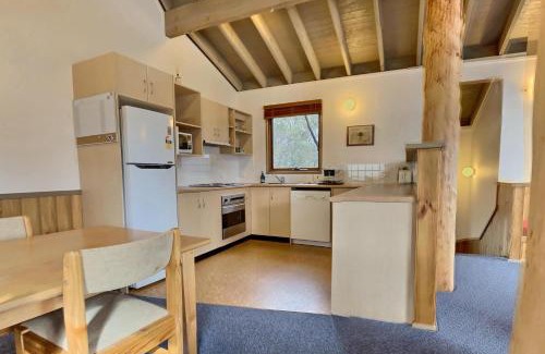 Dinner Plain Apartment | snowy river